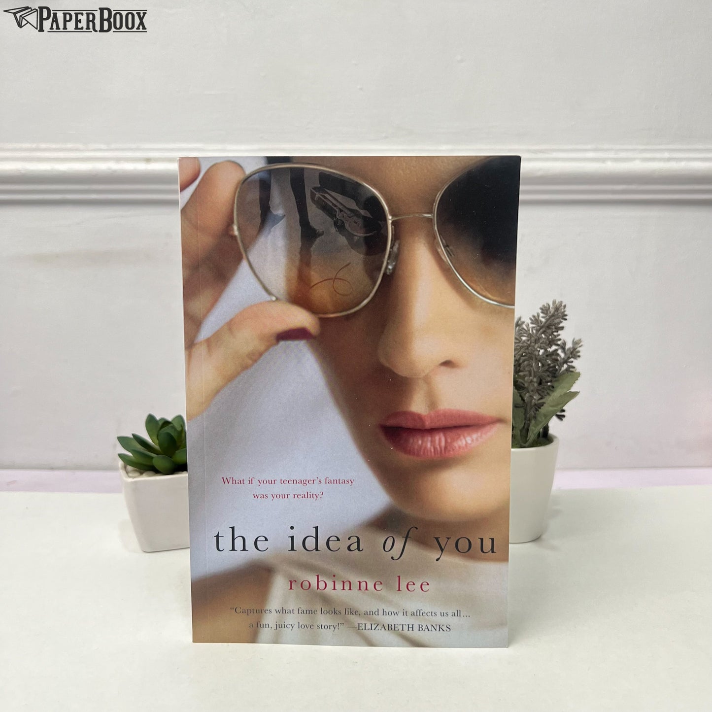 The Idea of You (Paperback)